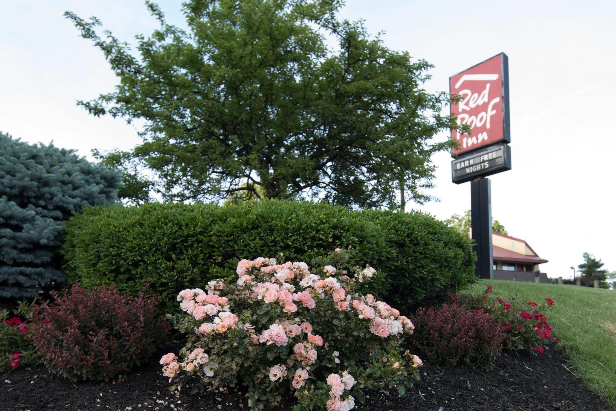 Red Roof Inn Cincinnati Northeast - Blue Ash Extérieur photo
